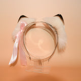 Ragdoll Petites