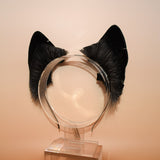 Moonbeam Husky (Prototype)