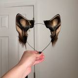 Toasty Pecan Husky (Prototype)