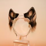 Toasty Pecan Husky (Prototype)