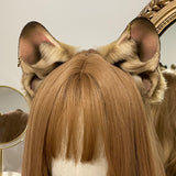 Closed! - Fawn French Bulldog