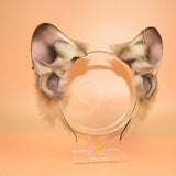 Closed! - Fawn French Bulldog