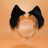 Closed! ~ Punky Fox