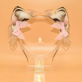 Closed! ~ Toasted Marshmallow Petites