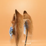 Winner Contacted! ~ Cinnamon Baby Shiba