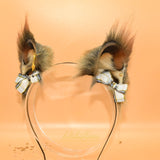 Closed! ~ Little Tufted Squirrel
