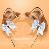 Winner Contacted! ~ Cinnamon Baby Shiba