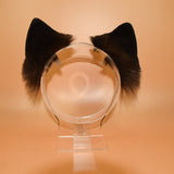 Closed! - Siamese Feline