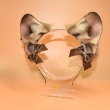 Closed! - Fawn French Bulldog