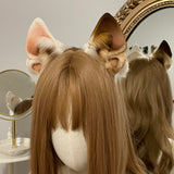 Pending! - Ibizan Hound - Prototype