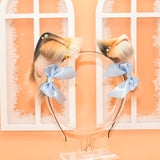 Awaiting Closure - Dilute Calico Petites