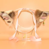 Tie! Awaiting Reply! ~ Caramel Spot Cow